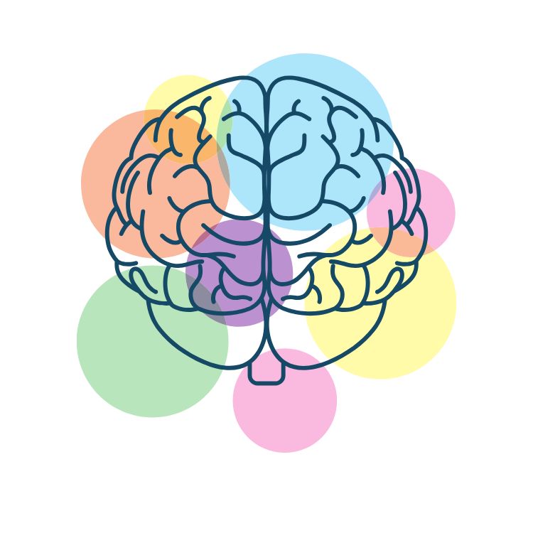 Stimulus Control ABA: Practical Guide for Parents, RBTs, and BCBAs